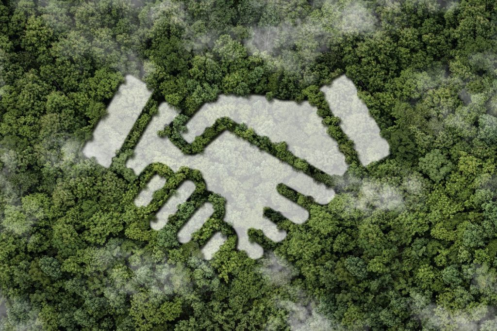 Tandem compensa el 100% de sus emisiones operacionales mediante financiamiento de proyectos solares en África Oriental