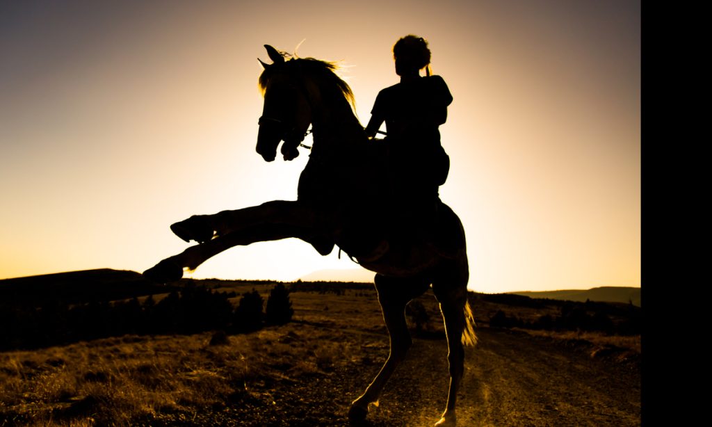 Los tres pilares del progreso B2B: API, datos e inteligencia artificial