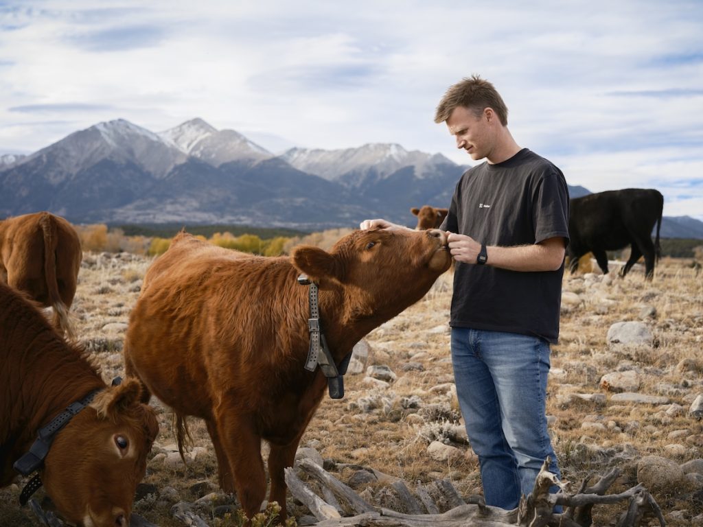 Peter Thiel apuesta fuerte por collares para vacas alimentados con energía solar