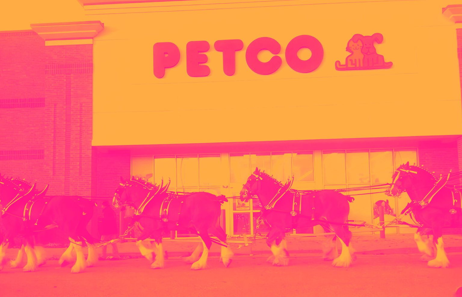 Una acción generadora de efectivo con ventajas competitivas y dos que consideramos riesgosas